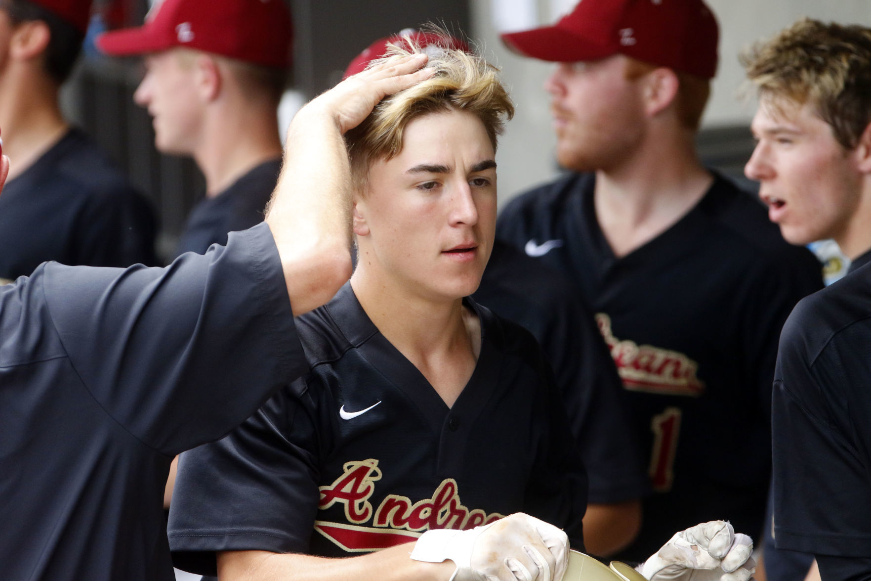 Gallery: 3A baseball semistate: Andrean vs. Yorktown